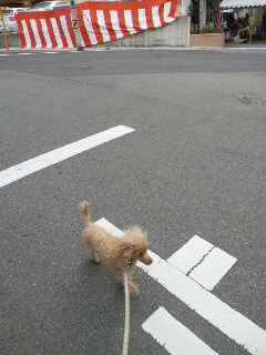 ���Ղ�H