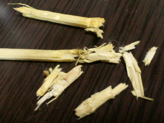 ����[!!