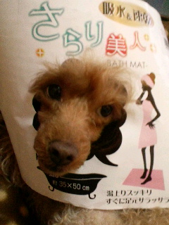 �������l