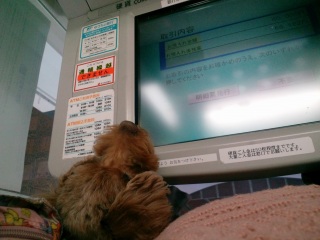 �U�荞��