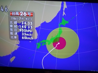 �䕗