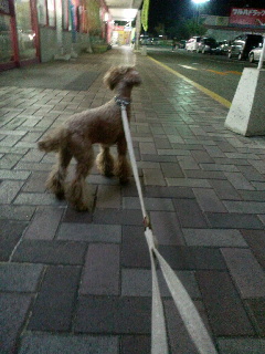 �܂����ȁc