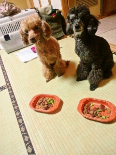 ��񂱂̂���