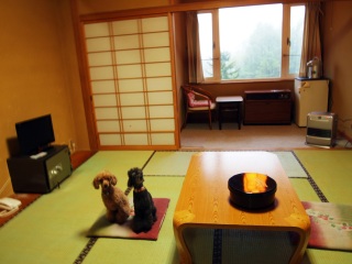 �������ł�