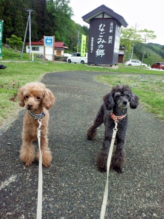 ������Ƌx�e