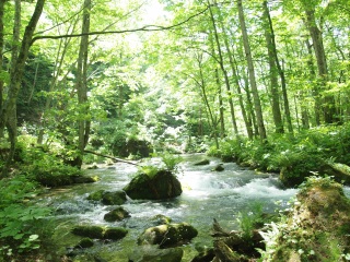 �������k��