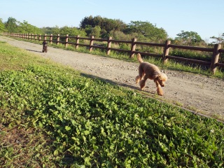 ���̉w�@�悱�͂�