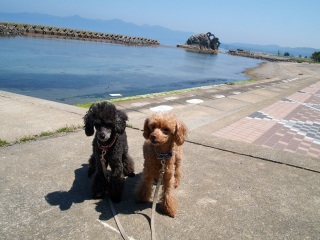 �`�o�C�l����