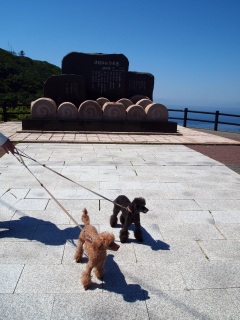 �{�^�������Ă݂��B