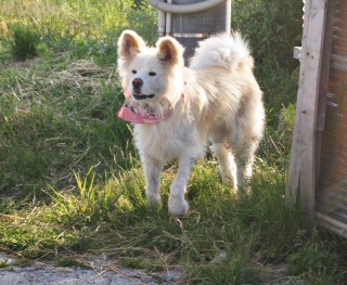 �����`�@(*�L�́M*)