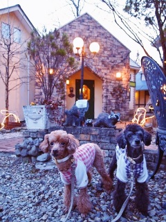 �y���V�����̑O��